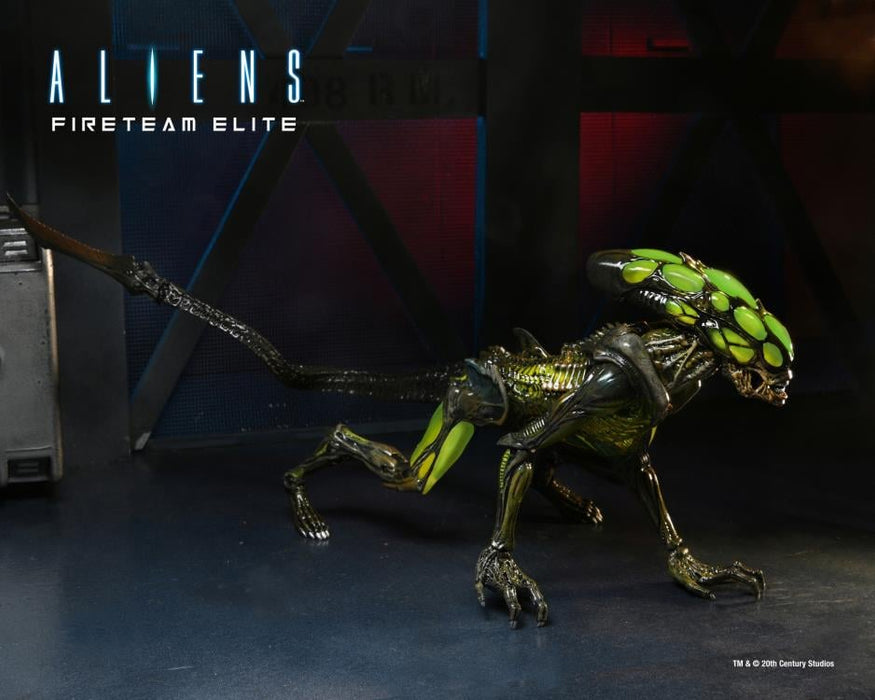 Aliens: Fireteam Elite Burster Alien Action Figure
