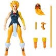 Masters of the Universe x Thundercats Wave 1 Action Figure