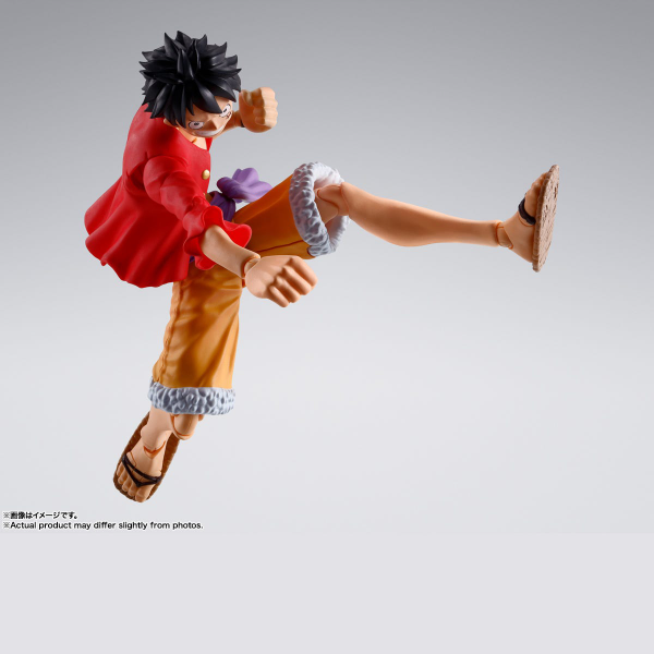 Monkey.D.Luffy -The Raid on Onigashima- TAMASHII NATIONS S.H.Figuarts