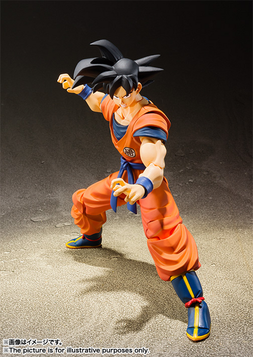 Son Goku -A Saiyan Raised On Earth- Dragon Ball Z, TAMASHII NATIONS S.H.Figuarts