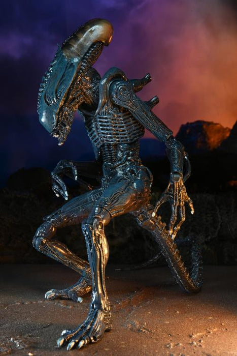 Alien vs. Predator Arachnoid (Movie Deco) Figure