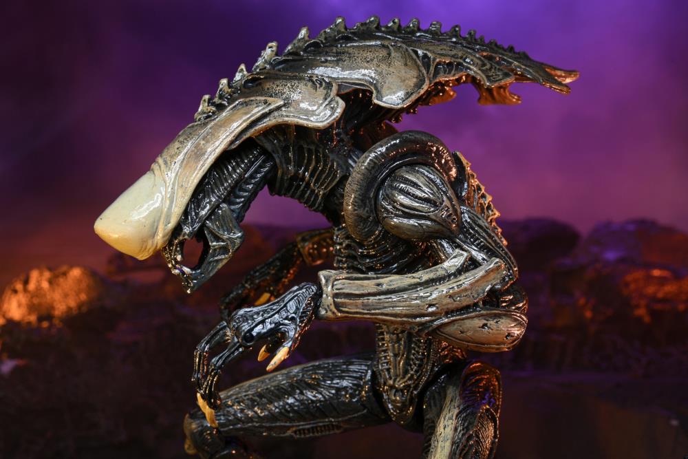 Alien vs. Predator Chrysalis (Movie Deco) Figure