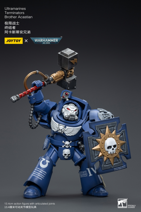 Ultramarines Terminators Brother Acastian