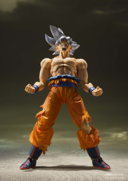 (Reissue) SON GOKU ULTRA INSTINCT "DRAGON BALL Z", TAMASHII NATIONS S.H.Figuarts