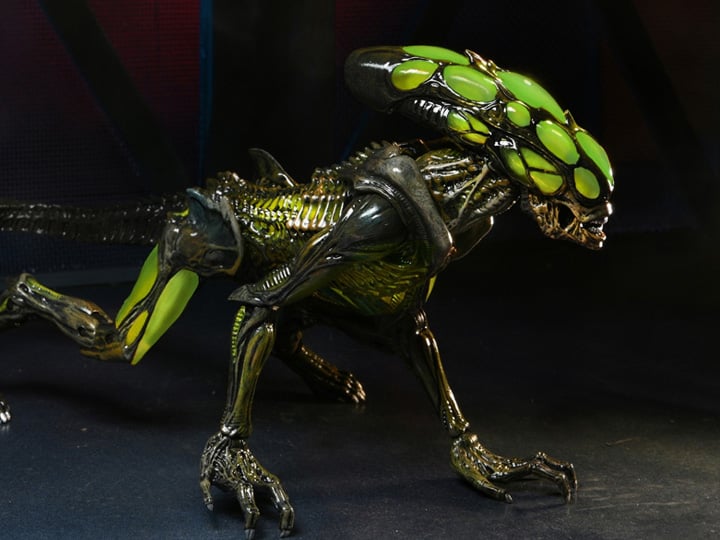 Aliens: Fireteam Elite Burster Alien Action Figure