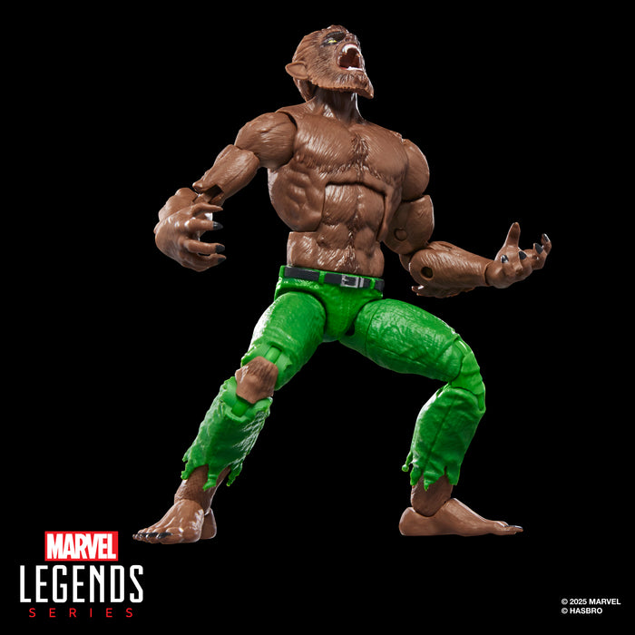 Werewolf By Night Action Figure | Executioner BAF | Marvel Legends