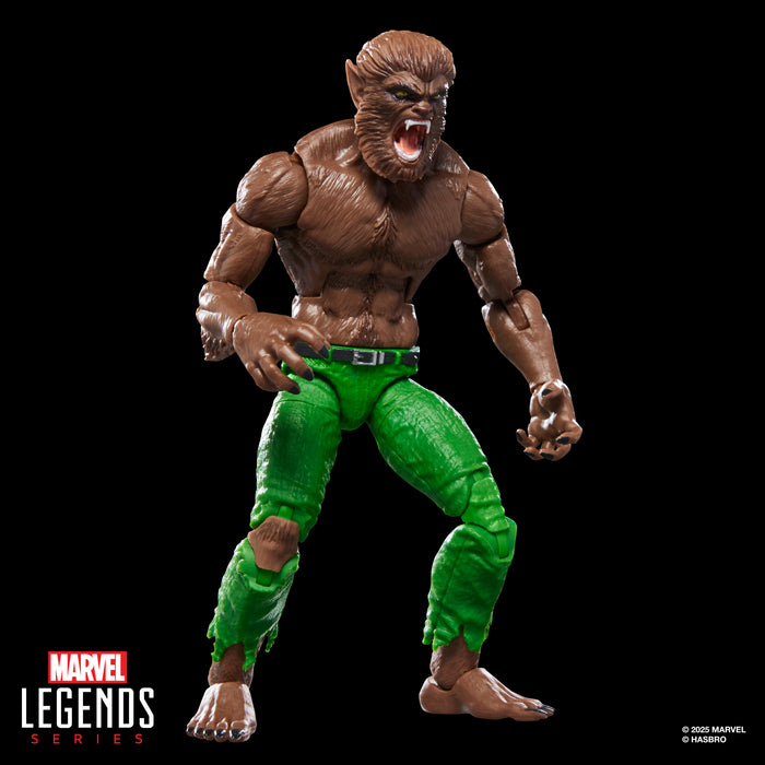 Werewolf By Night Action Figure | Executioner BAF | Marvel Legends