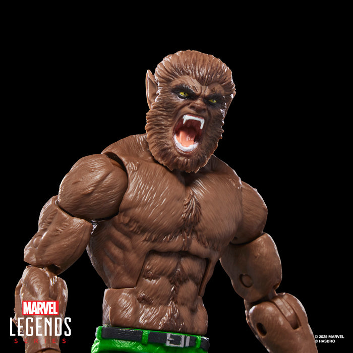 Werewolf By Night Action Figure | Executioner BAF | Marvel Legends