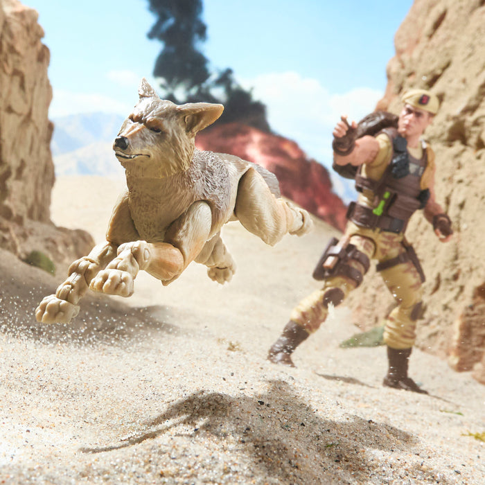 [PREORDER] G.I. Joe Classified Series #217, Dusty & Coyote Sandstorm  | Action Figure | Hasbro