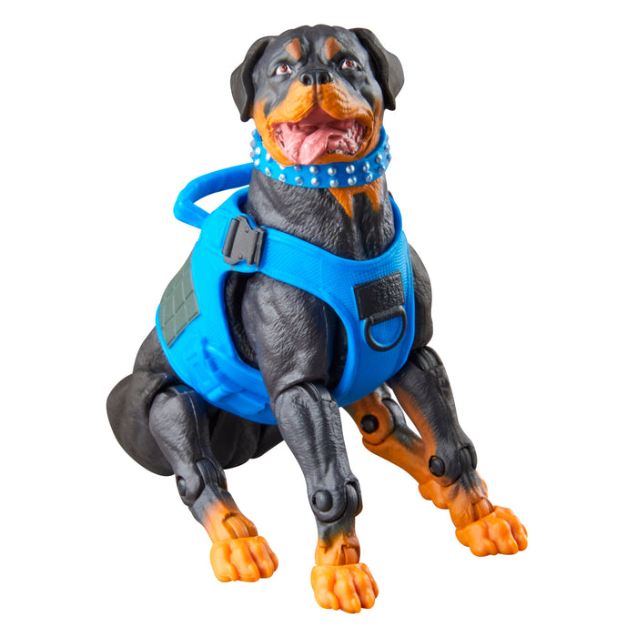 [PREORDER] G.I. Joe Classified Series #220, Mad Marauders Footloose, Mutt, & Junkyard | Action Figure | Hasbro
