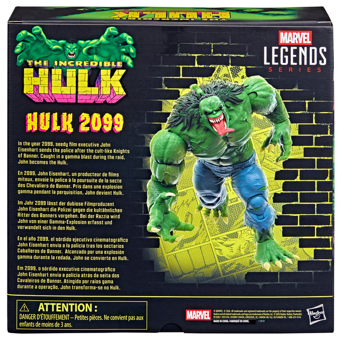 [PREORDER] Marvel Legends Series Hulk 2099 | Action Figure | Hasbro