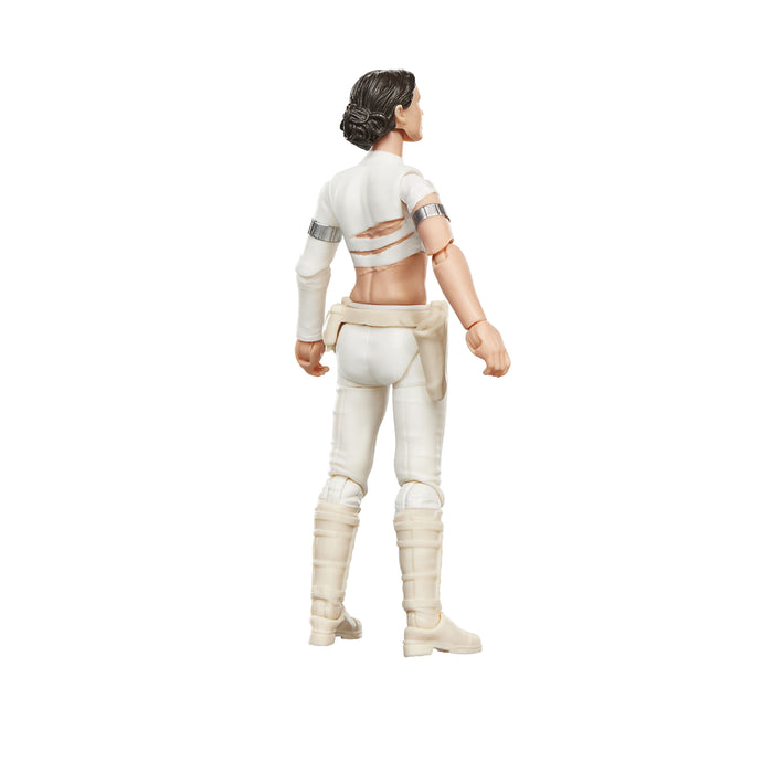 [PREORDER] Star Wars The Vintage Collection Padmé Amidala (Geonosis) | Action Figure | Hasbro
