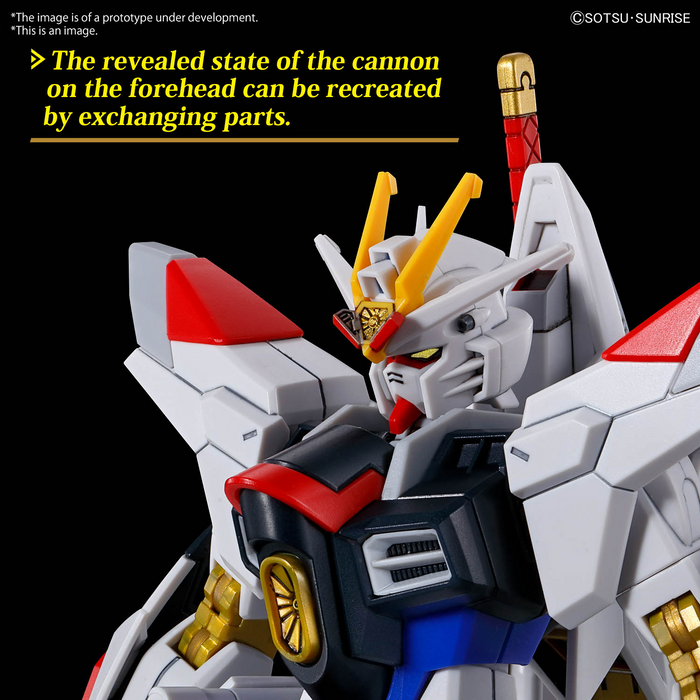 HG 1/144 MIGHTY STRIKE FREEDOM GUNDAM | Model Kit | Bandai