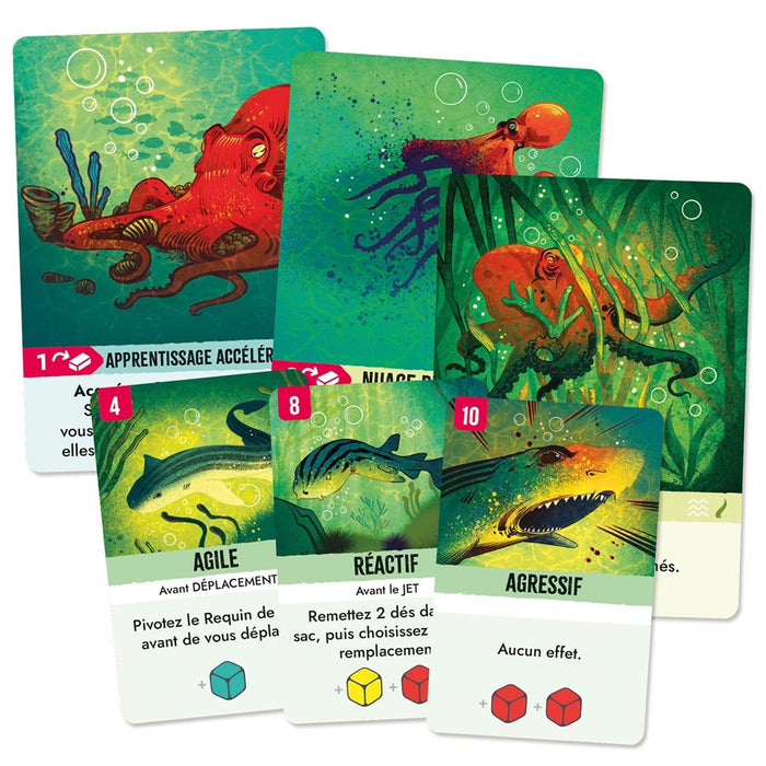 Kelp (FRENCH Version)