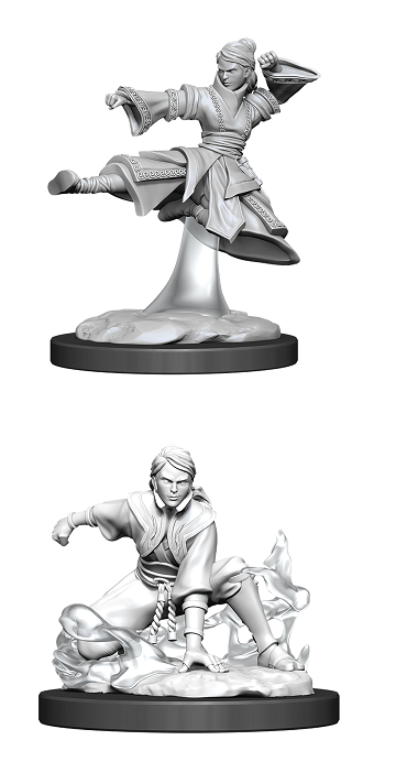 Dungeons & Dragons Nolzur's Marvelous Unpainted Miniatures: Female Human Monk