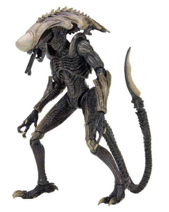 Alien vs. Predator Chrysalis (Movie Deco) Figure