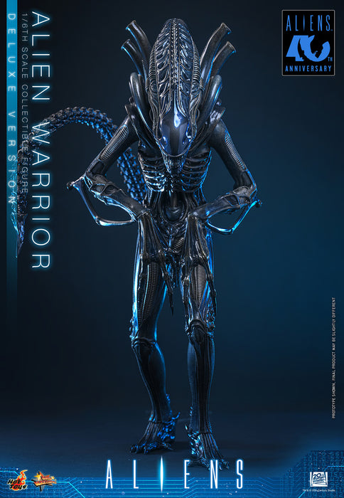 [PREORDER] Alien Warrior (Deluxe Version) MMS899 | Sixth Scale Figure | Hot Toys