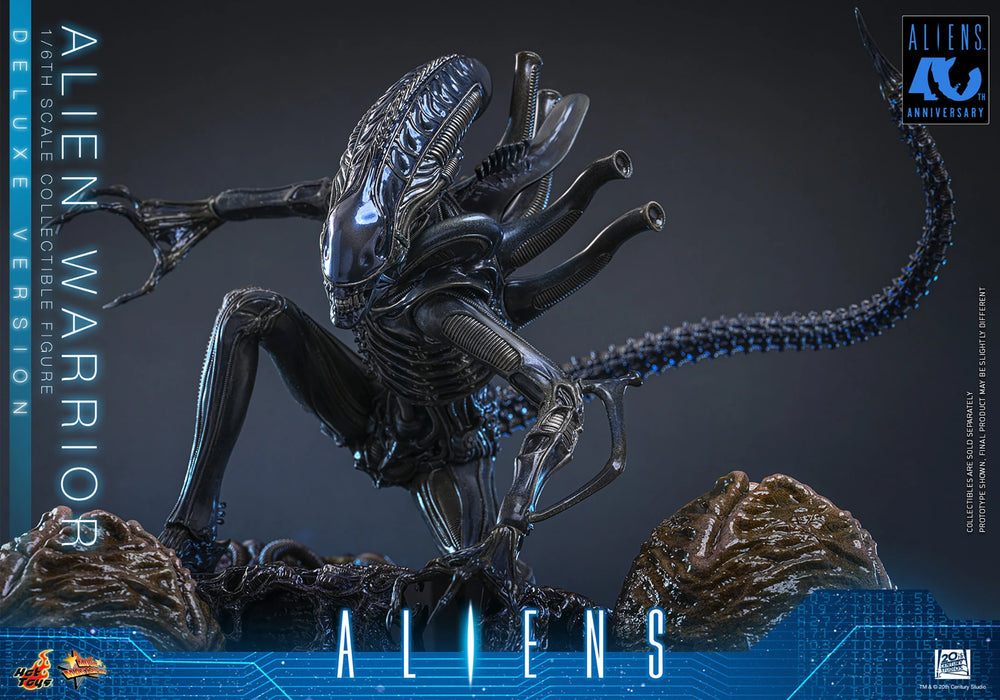 [PREORDER] Alien Warrior (Deluxe Version) MMS899 | Sixth Scale Figure | Hot Toys
