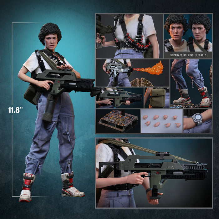 [PREORDER] Ellen Ripley MMS894 | Sixth Scale Figure | Hot Toys