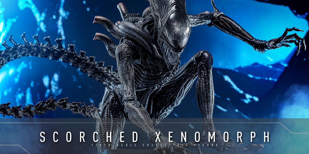 PREORDER] Scorched Xenomorph Sixth Scale Figure — Heroes World