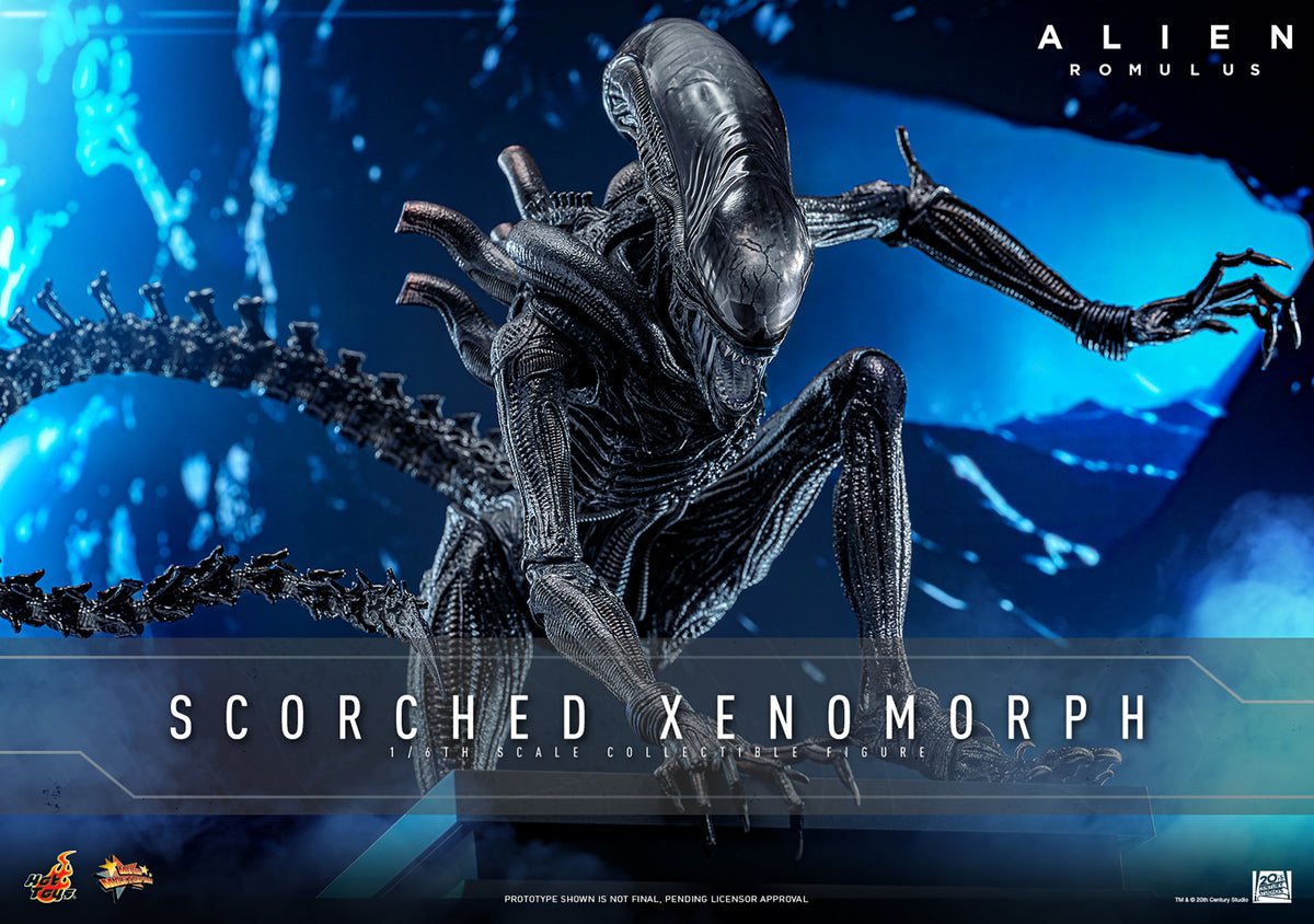 PREORDER] Scorched Xenomorph Sixth Scale Figure — Heroes World
