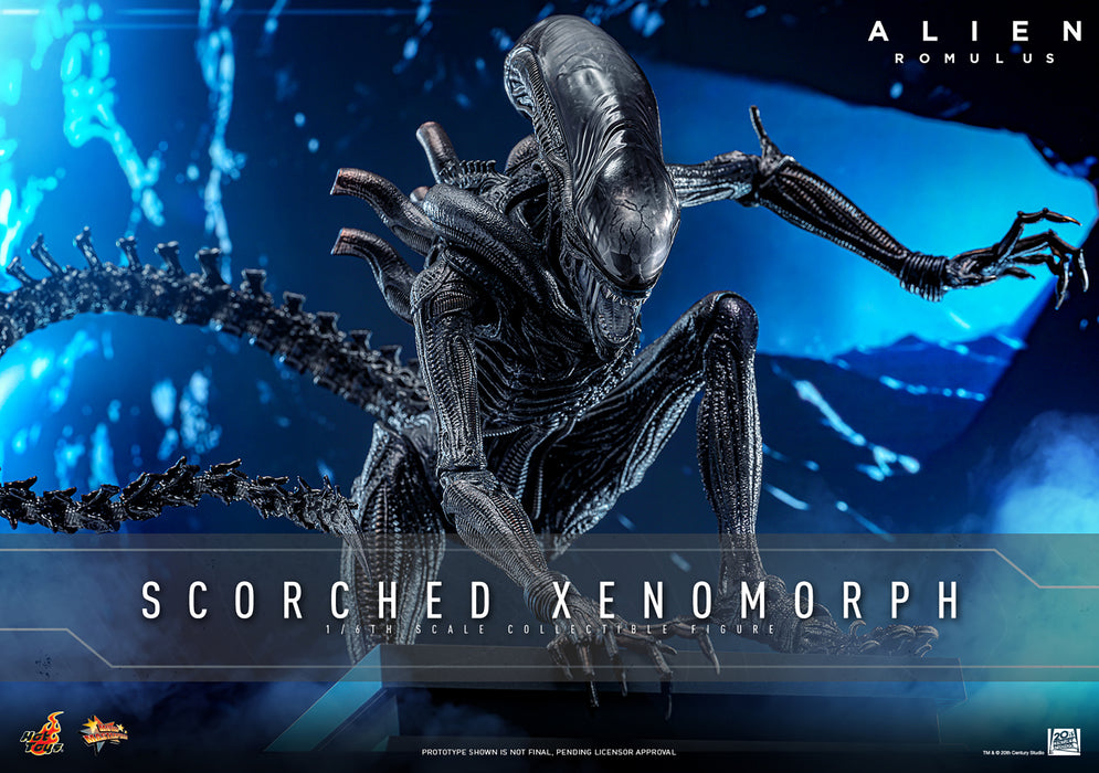 [PREORDER] Scorched Xenomorph Sixth Scale Figure