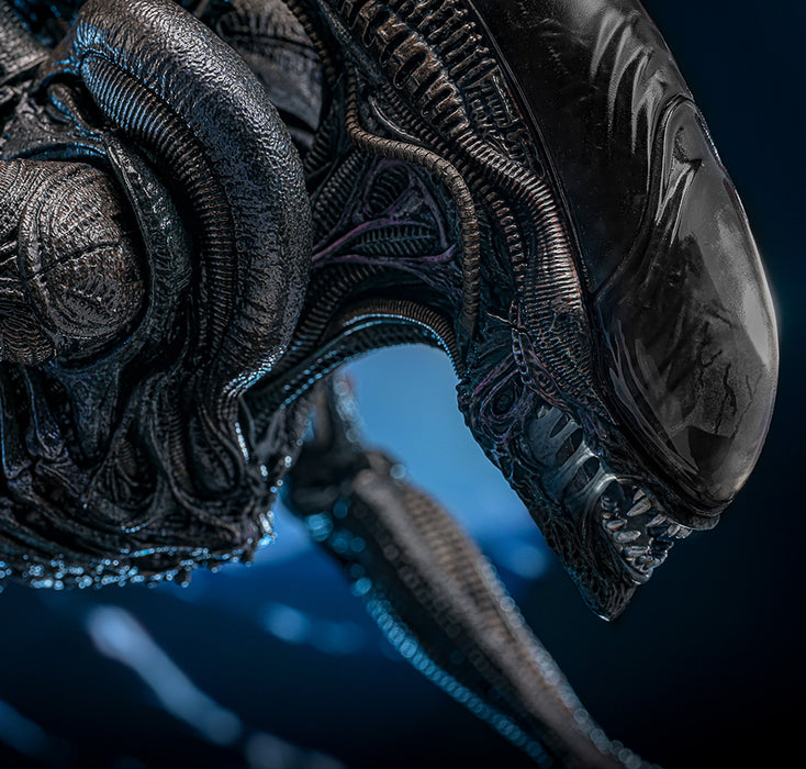 [PREORDER] Scorched Xenomorph Sixth Scale Figure