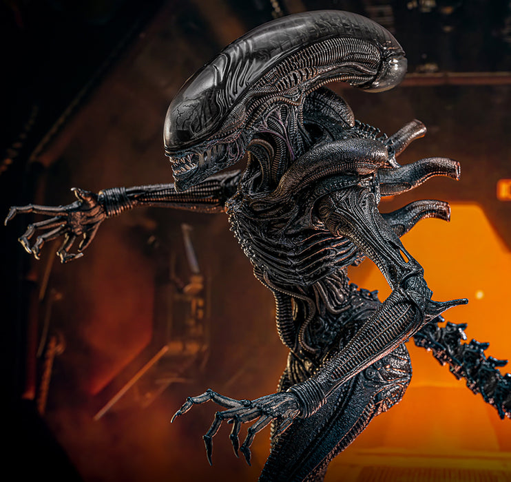 [PREORDER] Scorched Xenomorph Sixth Scale Figure