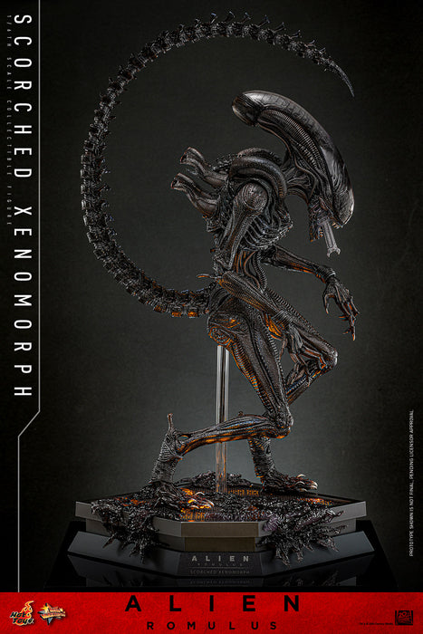 [PREORDER] Scorched Xenomorph Sixth Scale Figure