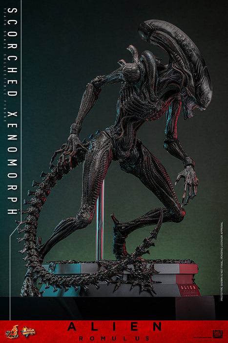 [PREORDER] Scorched Xenomorph Sixth Scale Figure