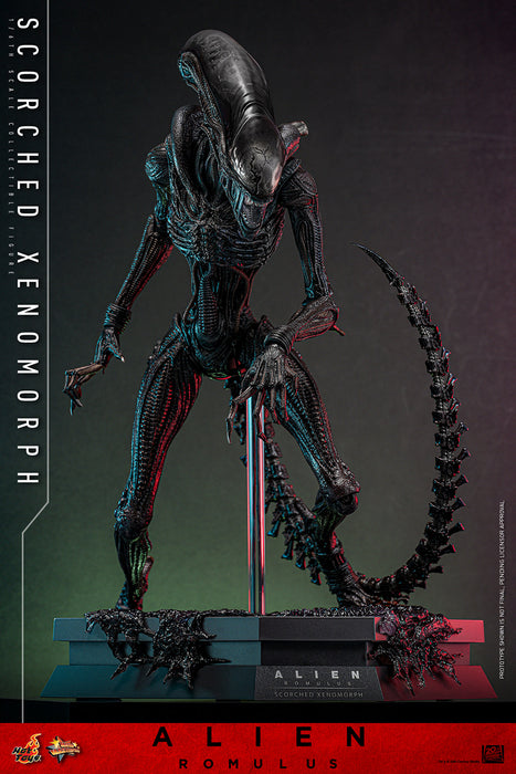 [PREORDER] Scorched Xenomorph Sixth Scale Figure