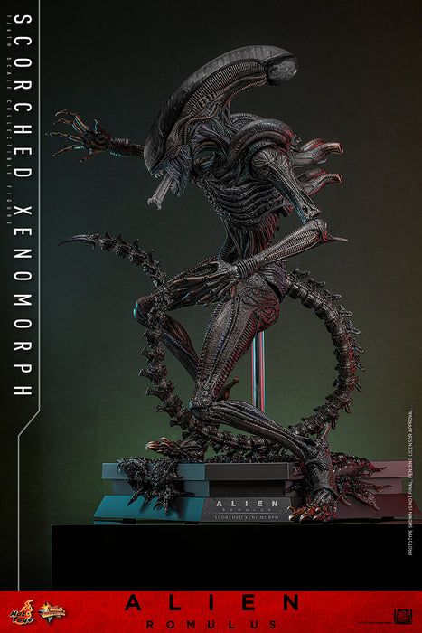 [PREORDER] Scorched Xenomorph Sixth Scale Figure