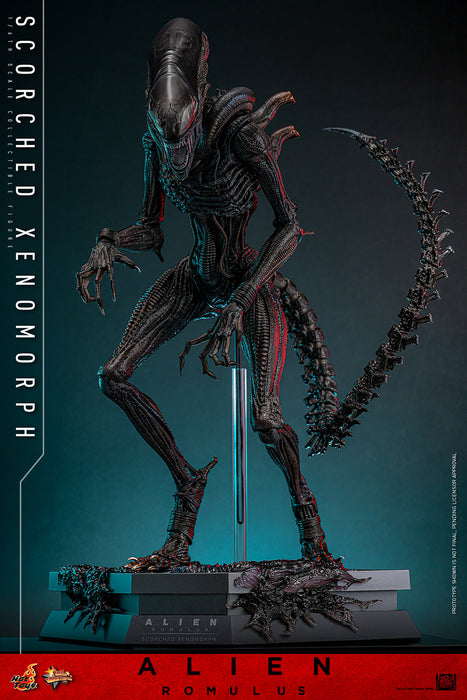 [PREORDER] Scorched Xenomorph Sixth Scale Figure