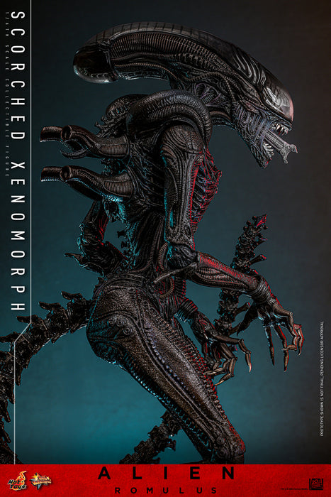 [PREORDER] Scorched Xenomorph Sixth Scale Figure