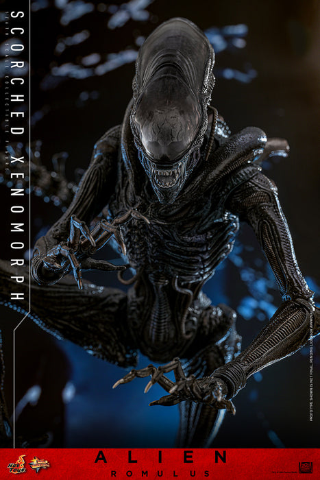 [PREORDER] Scorched Xenomorph Sixth Scale Figure