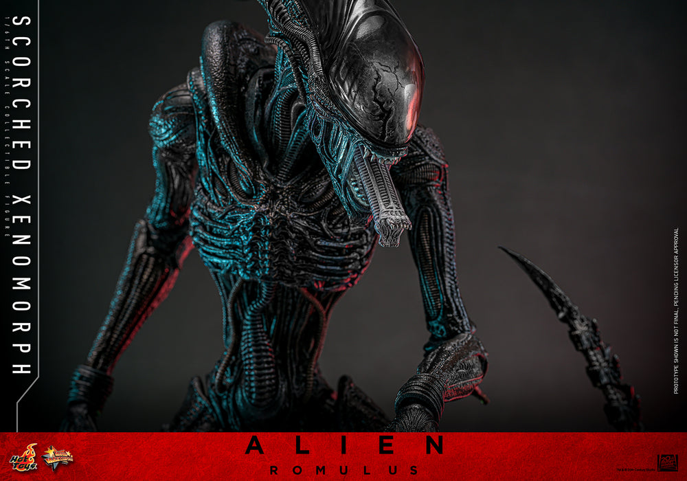 [PREORDER] Scorched Xenomorph Sixth Scale Figure