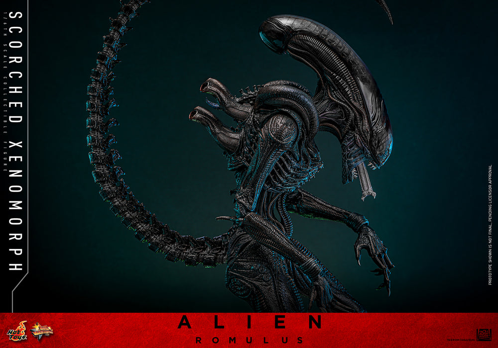 [PREORDER] Scorched Xenomorph Sixth Scale Figure