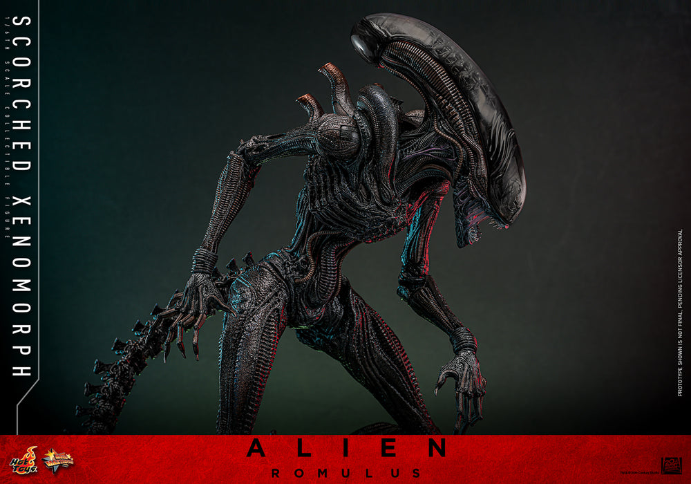 [PREORDER] Scorched Xenomorph Sixth Scale Figure