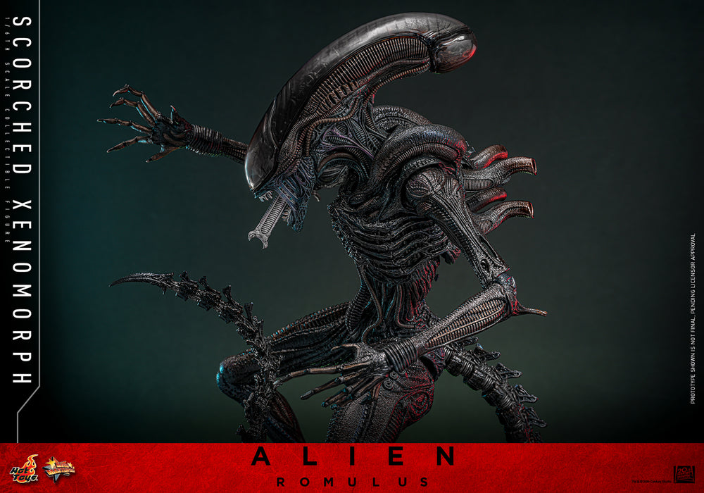 [PREORDER] Scorched Xenomorph Sixth Scale Figure