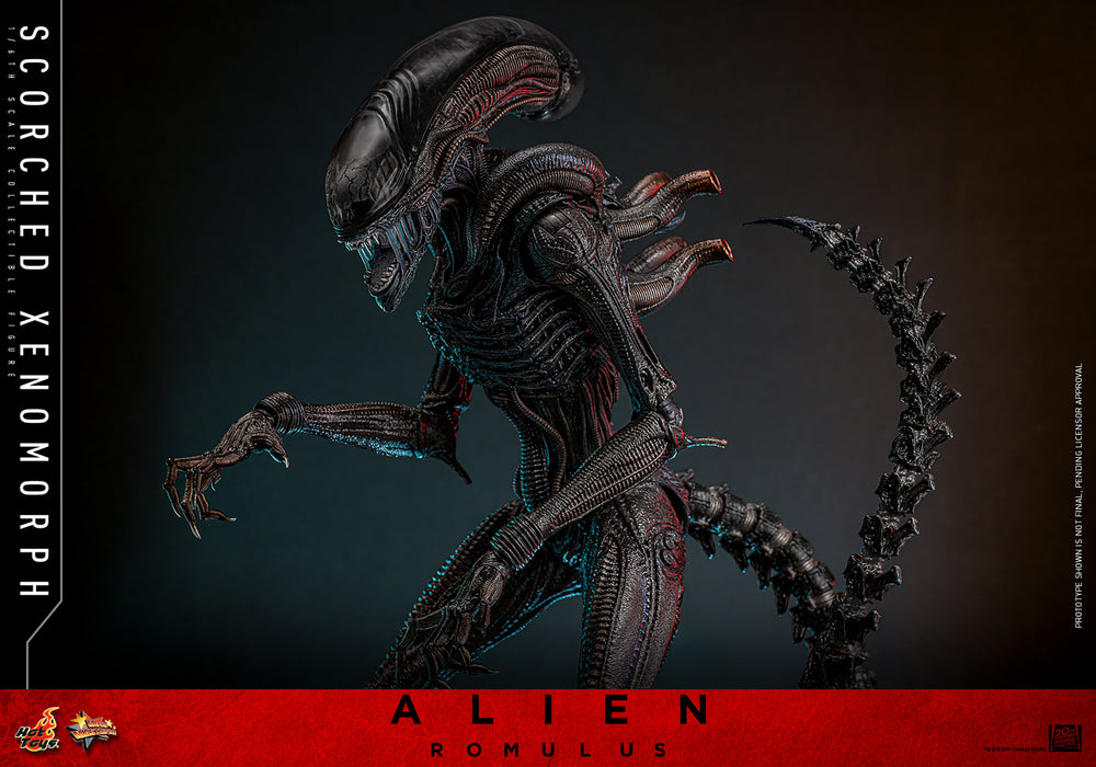 [PREORDER] Scorched Xenomorph Sixth Scale Figure