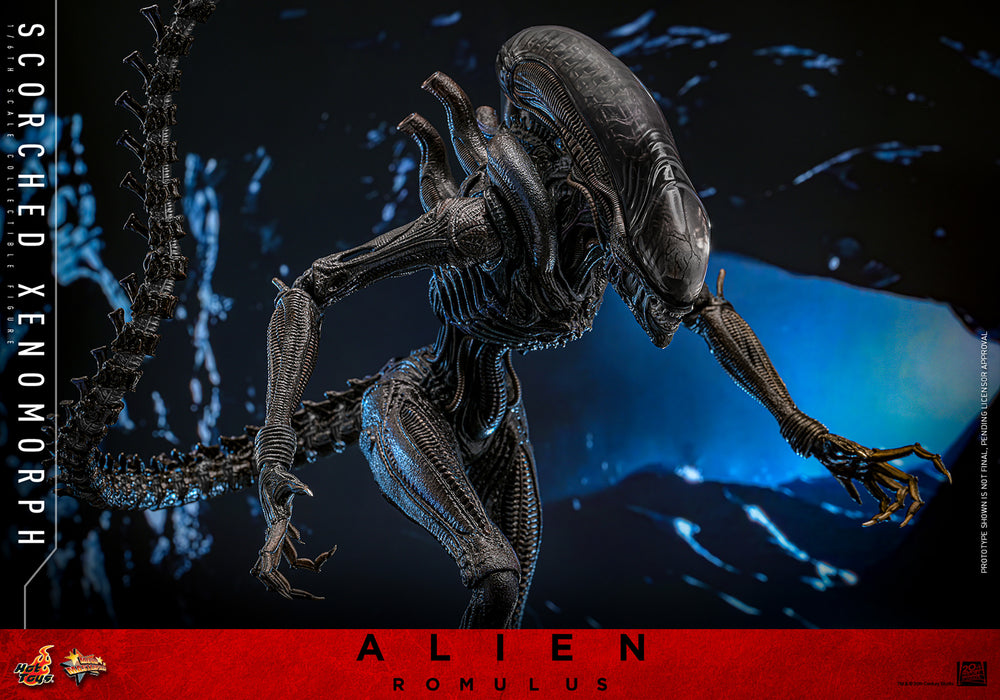 [PREORDER] Scorched Xenomorph Sixth Scale Figure