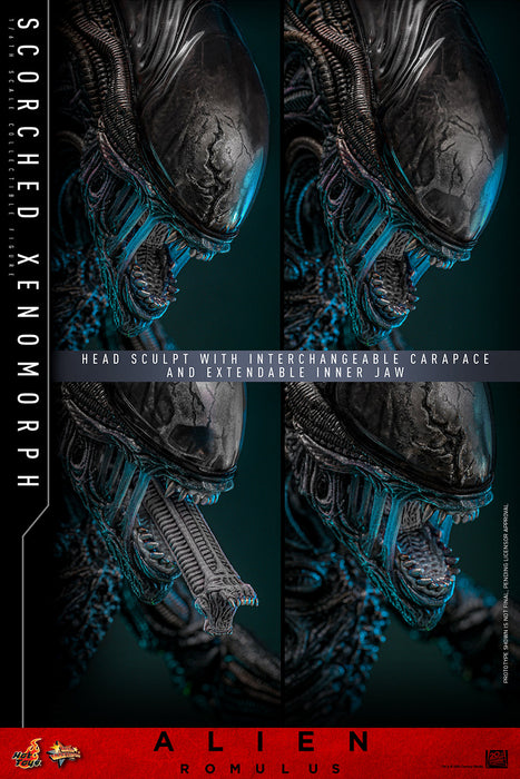 [PREORDER] Scorched Xenomorph Sixth Scale Figure