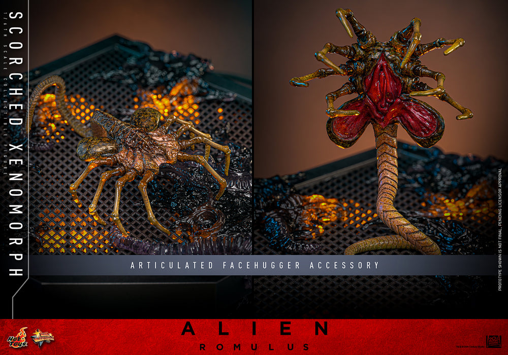 [PREORDER] Scorched Xenomorph Sixth Scale Figure