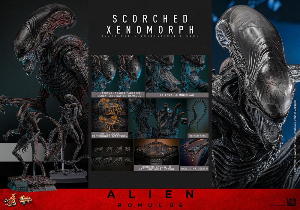 [PREORDER] Scorched Xenomorph Sixth Scale Figure