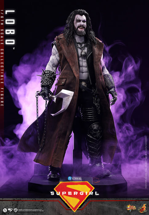 [PREORDER] Lobo MMS890 | Sixth Scale Figure | Hot Toys