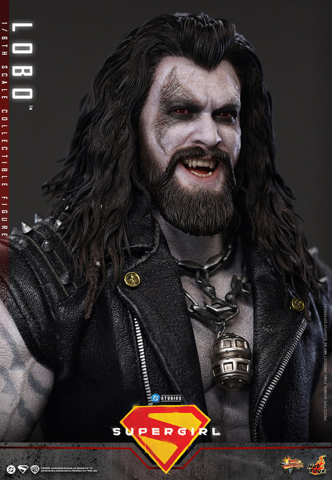 [PREORDER] Lobo MMS890 | Sixth Scale Figure | Hot Toys
