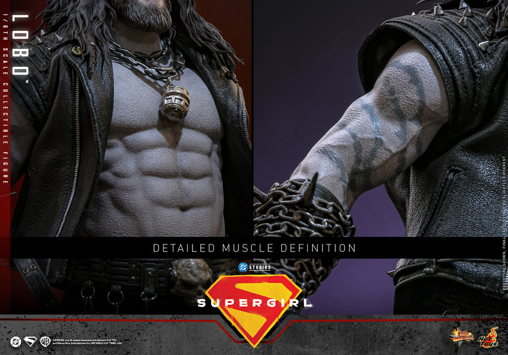 [PREORDER] Lobo MMS890 | Sixth Scale Figure | Hot Toys