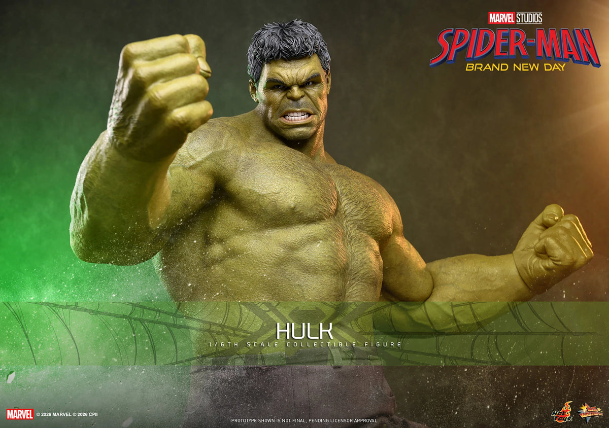 PREORDER] Hulk MMS905 | Sixth Scale Figure | Hot Toys — Heroes World