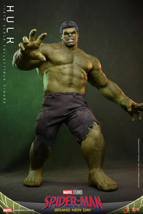 [PREORDER] Hulk MMS905 | Sixth Scale Figure | Hot Toys