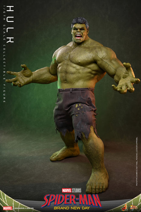 [PREORDER] Hulk MMS905 | Sixth Scale Figure | Hot Toys